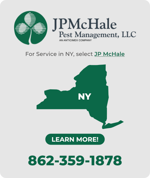 McHale
