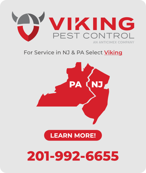 Viking Pest